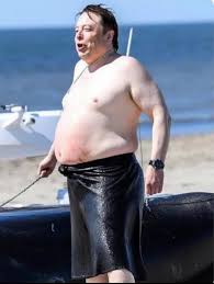 Pre GLP-1 Elon Musk looking like boiled chicken